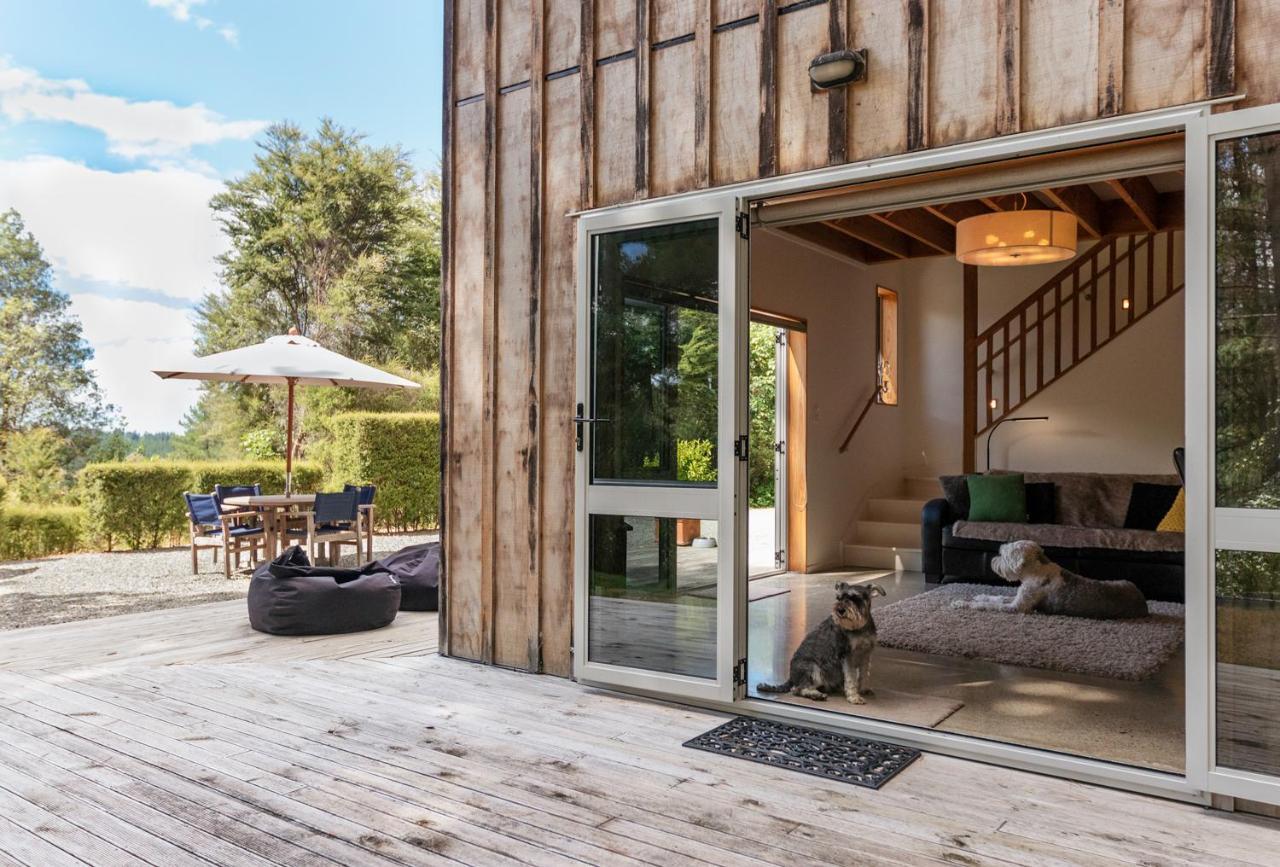 Beech Hill - Pet Friendly Holiday Home Tasman Exterior photo
